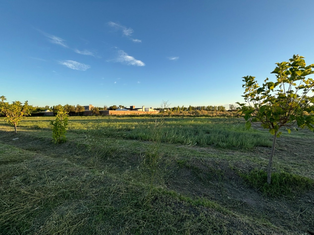 VENDO 2 LOTES DE 1.000 m² — LAS PAREDES, SAN RAFAEL, MENDOZA
