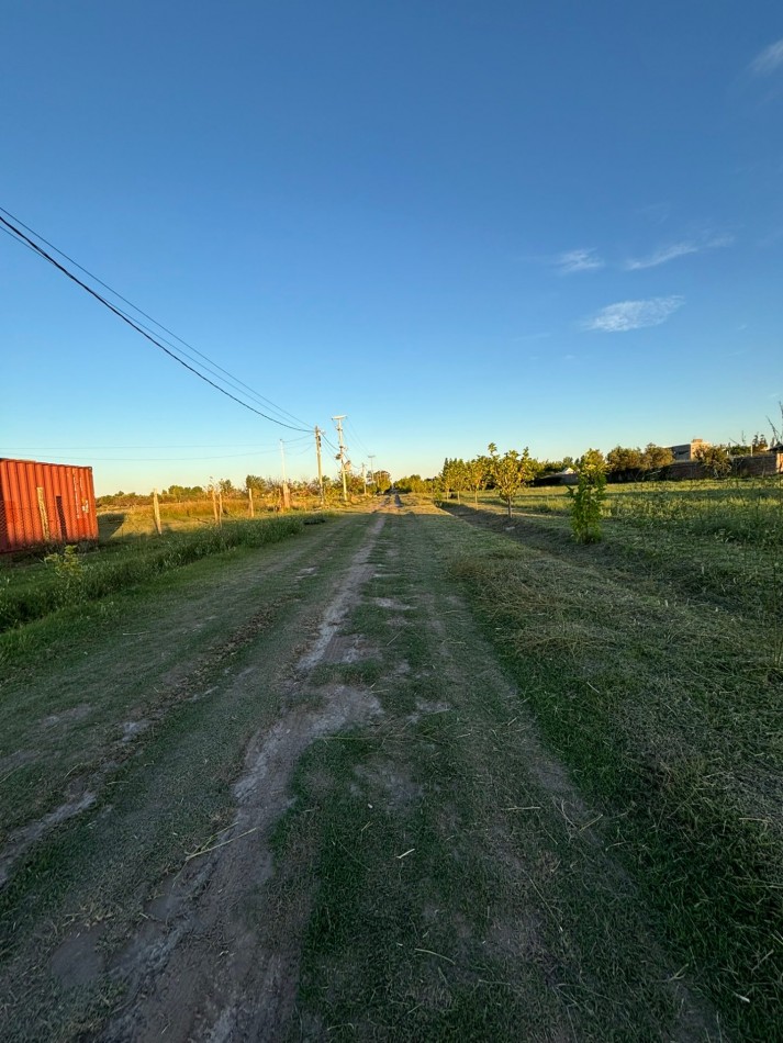 VENDO 2 LOTES DE 1.000 m² — LAS PAREDES, SAN RAFAEL, MENDOZA