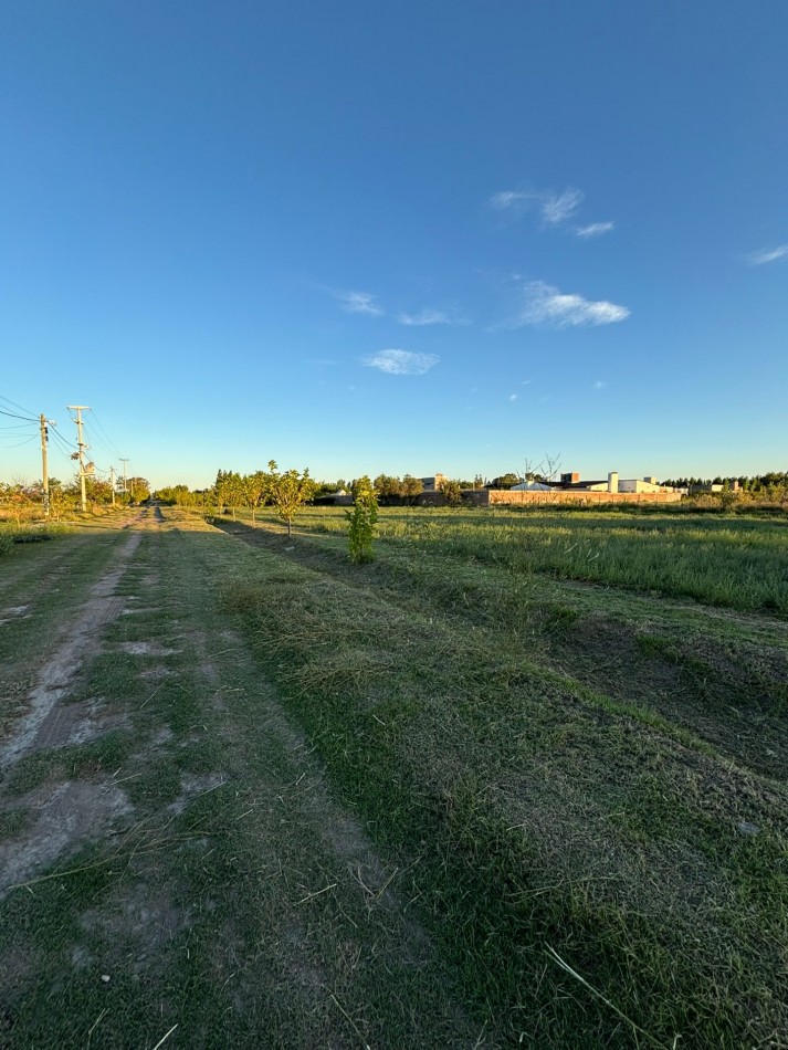 VENDO 2 LOTES DE 1.000 m² — LAS PAREDES, SAN RAFAEL, MENDOZA