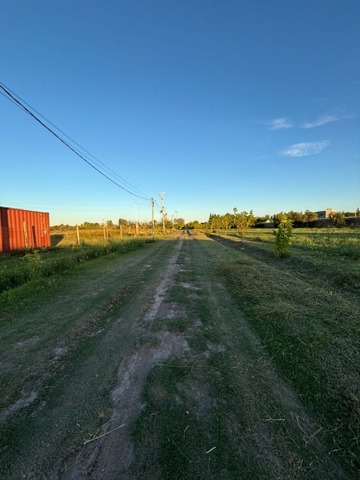 VENDO 2 LOTES DE 1.000 m² — LAS PAREDES, SAN RAFAEL, MENDOZA