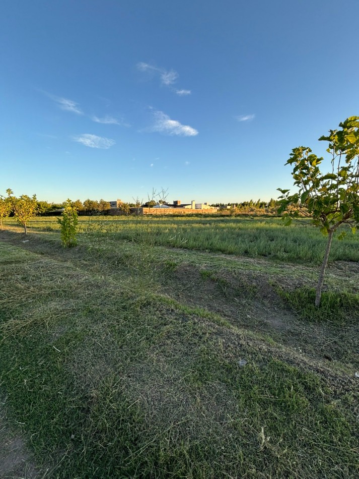VENDO 2 LOTES DE 1.000 m² — LAS PAREDES, SAN RAFAEL, MENDOZA