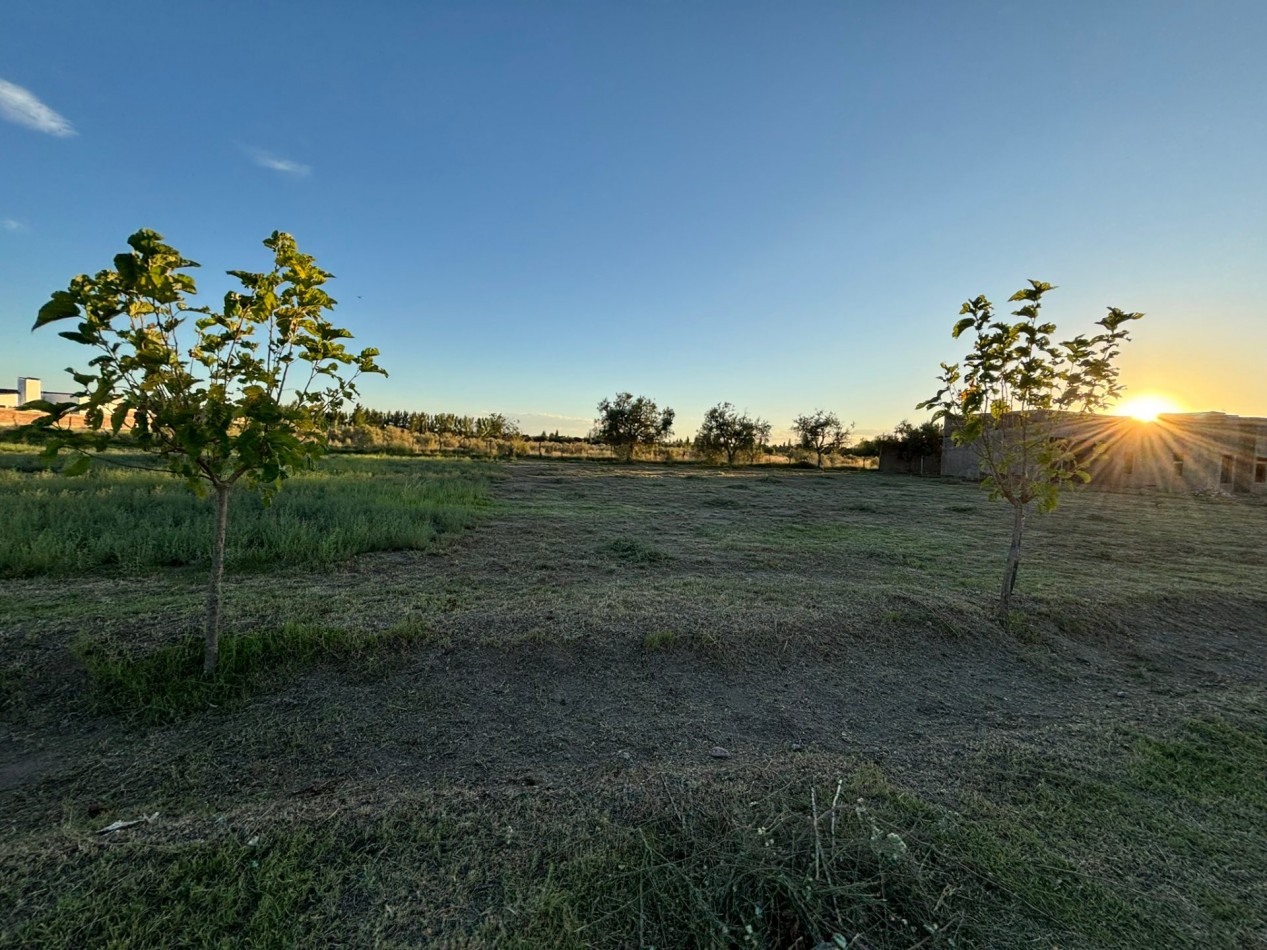 VENDO 2 LOTES DE 1.000 m² — LAS PAREDES, SAN RAFAEL, MENDOZA