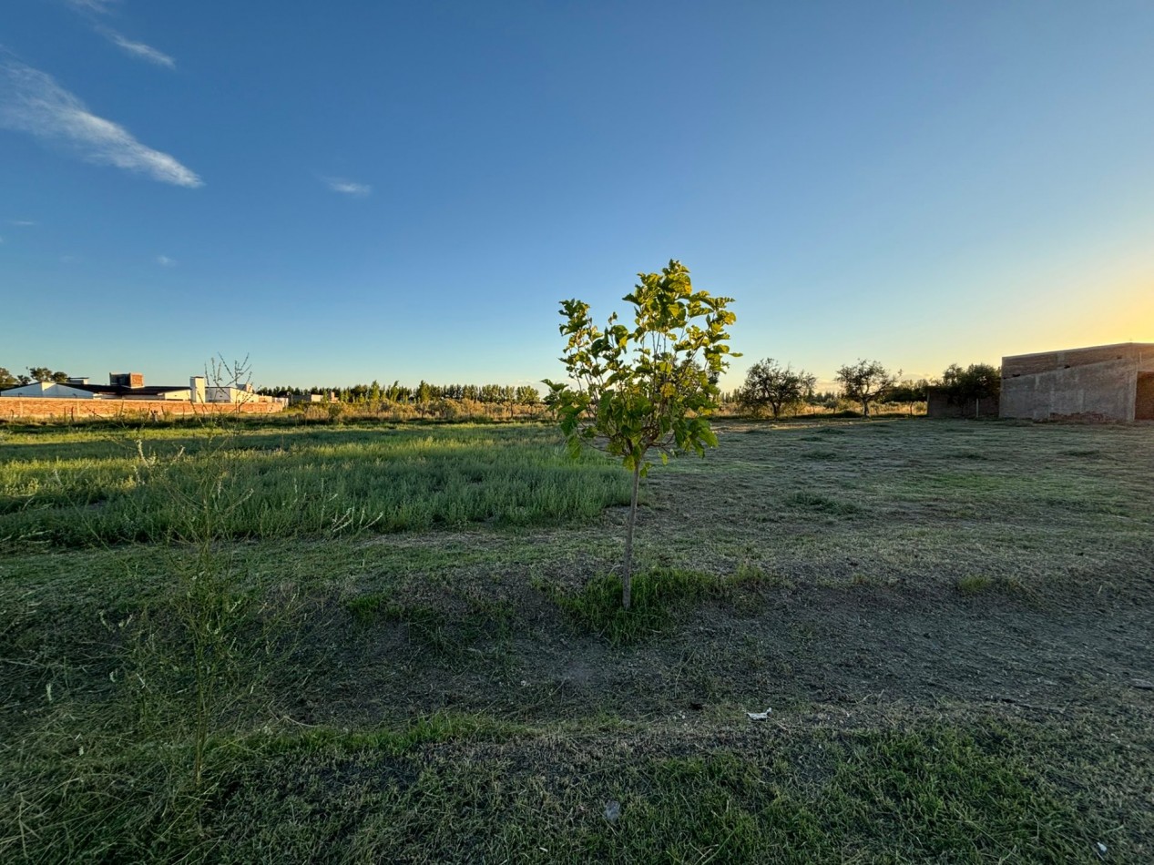 VENDO 2 LOTES DE 1.000 m² — LAS PAREDES, SAN RAFAEL, MENDOZA