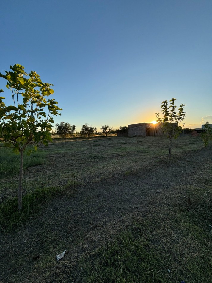 VENDO 2 LOTES DE 1.000 m² — LAS PAREDES, SAN RAFAEL, MENDOZA