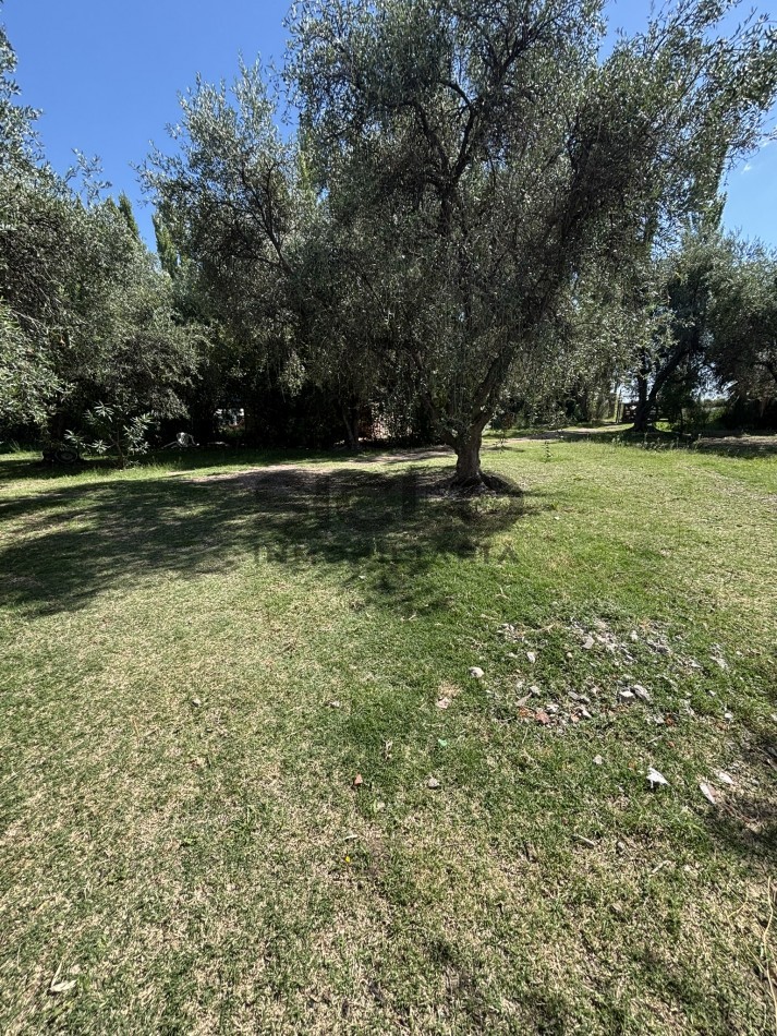 EXCELENTE PROPIEDAD EN RAMA CAIDA CON DOS CASAS 