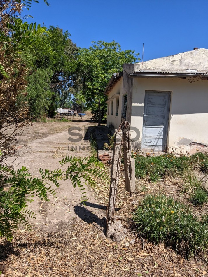 VENDO FINCA  EN  COLONIA LOPEZ - VILLA ATUEL - SAN RAFAEL- MENDOZA