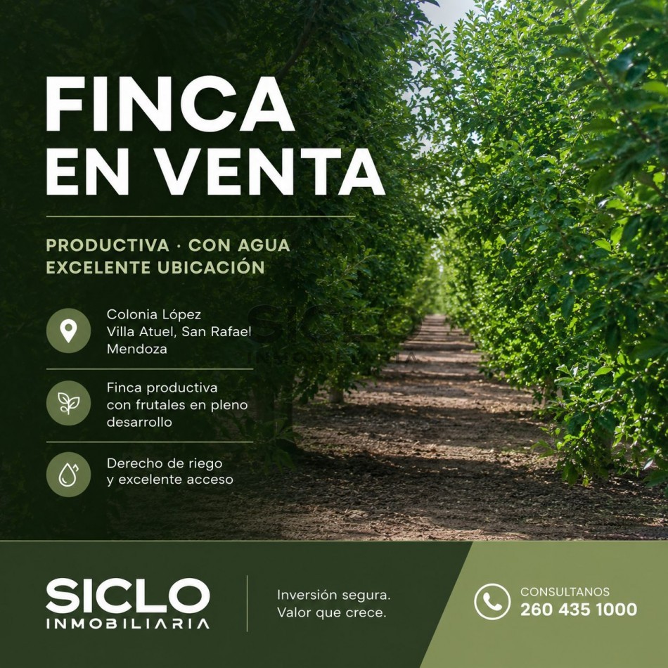 VENDO FINCA  EN  COLONIA LOPEZ - VILLA ATUEL - SAN RAFAEL- MENDOZA