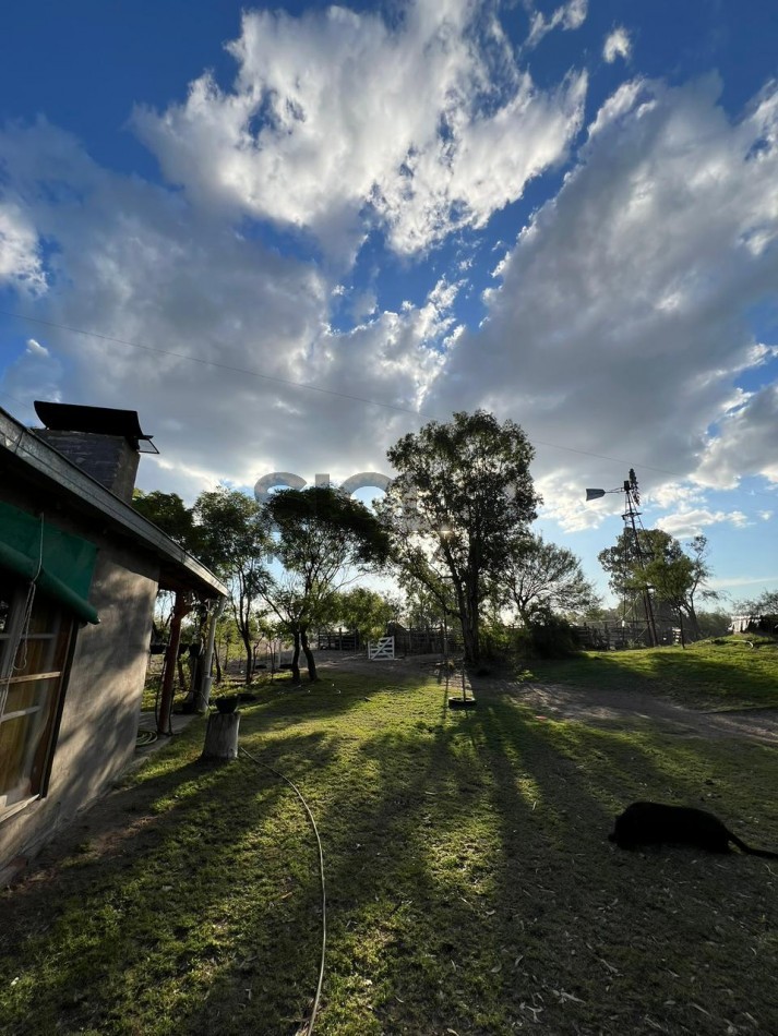 CAMPO GANADERO DE 2230Ha en Corral de Lorca, General Alvear Mendoza