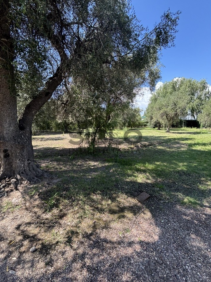 EXCELENTE PROPIEDAD EN RAMA CAIDA CON DOS CASAS 