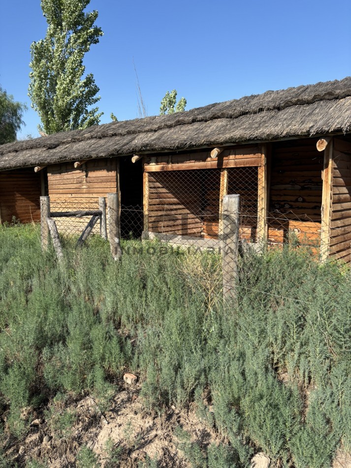 EXCELENTE PROPIEDAD EN RAMA CAIDA CON DOS CASAS 