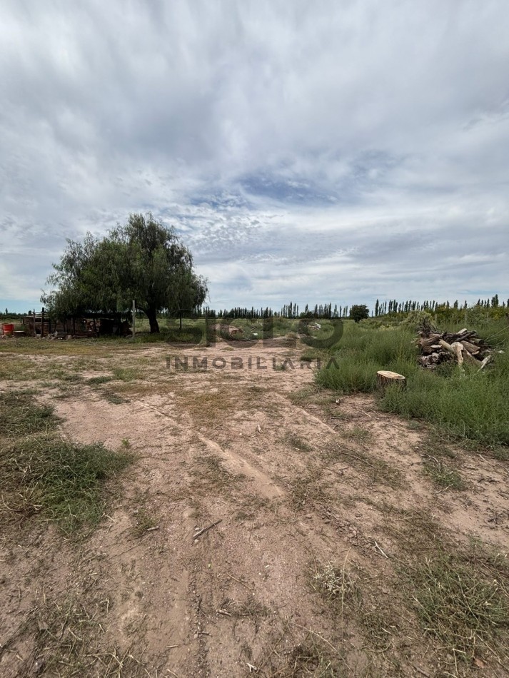 FINCA DE 5HAS EN SAN RAFAEL MENDOZA . 