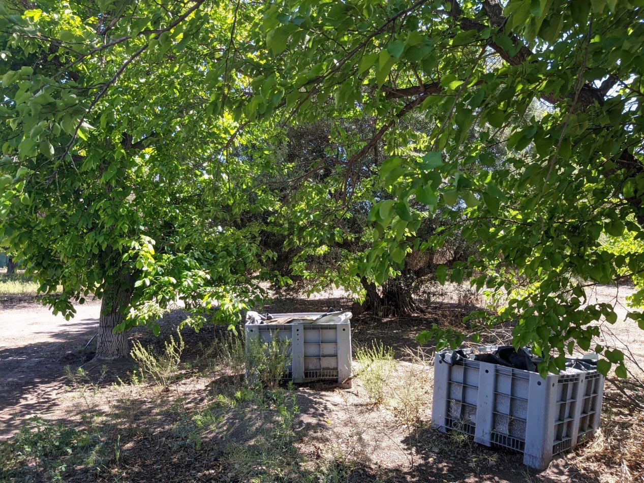 VENDO FINCA  EN  COLONIA LOPEZ - VILLA ATUEL - SAN RAFAEL- MENDOZA