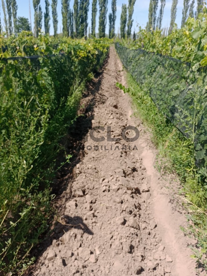PROPIEDAD RURAL DE 6,32Has.