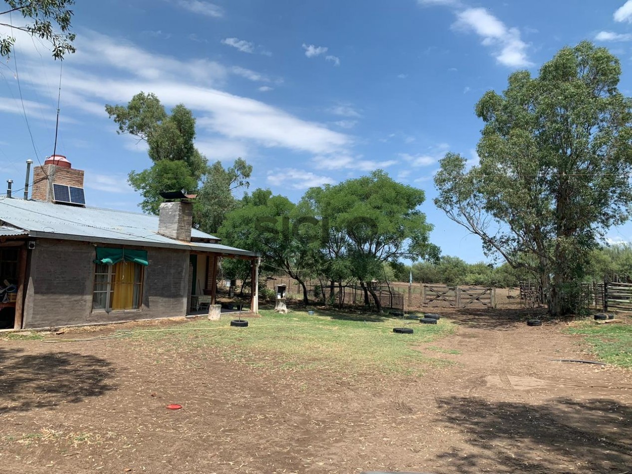 CAMPO GANADERO DE 2230Ha en Corral de Lorca, General Alvear Mendoza