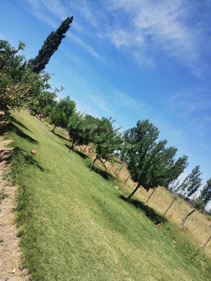 VENDO PROPIEDAD RURAL  DE 2,5 HA  CON CASA Y PILETA  