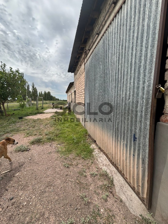 FINCA DE 5HAS EN SAN RAFAEL MENDOZA . 