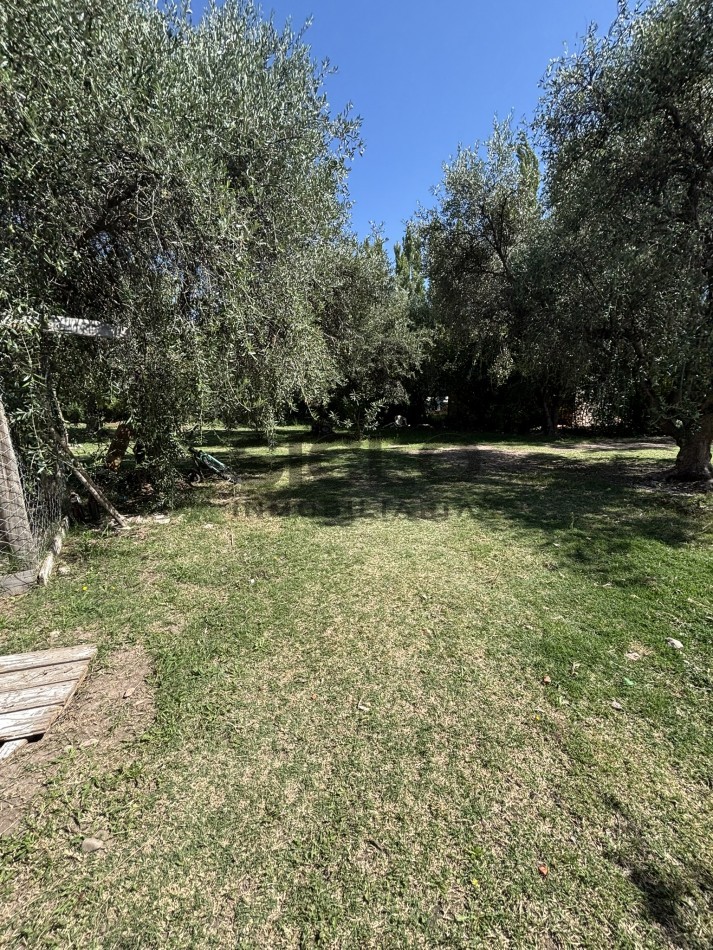 EXCELENTE PROPIEDAD EN RAMA CAIDA CON DOS CASAS 