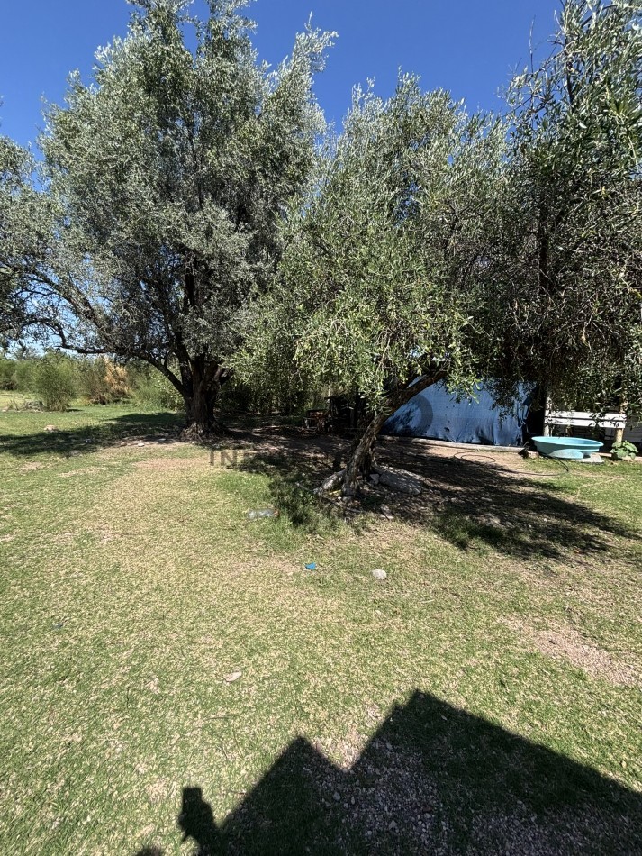 EXCELENTE PROPIEDAD EN RAMA CAIDA CON DOS CASAS 