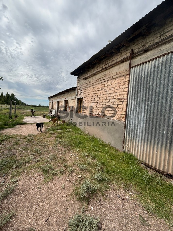 FINCA DE 5HAS EN SAN RAFAEL MENDOZA . 