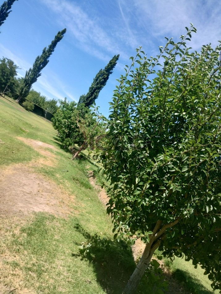 VENDO PROPIEDAD RURAL  DE 2,5 HA  CON CASA Y PILETA  