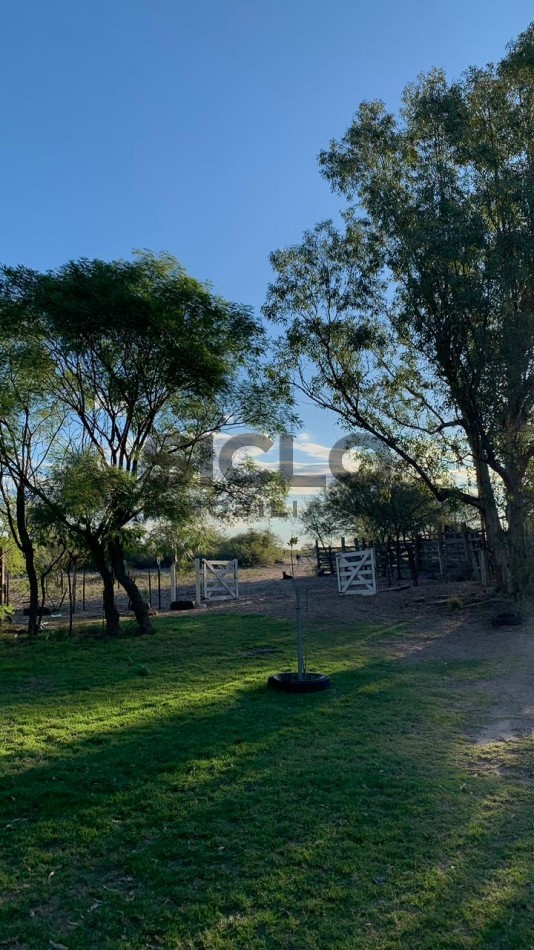 CAMPO GANADERO DE 2230Ha en Corral de Lorca, General Alvear Mendoza