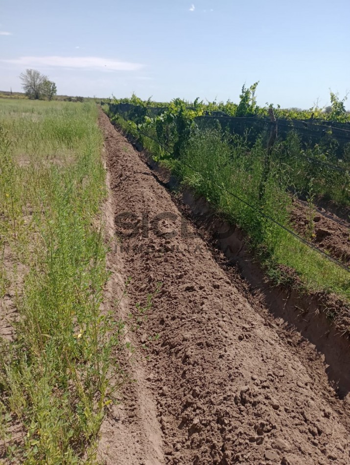 PROPIEDAD RURAL DE 6,32Has.