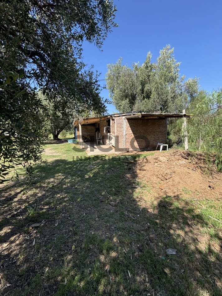 EXCELENTE PROPIEDAD EN RAMA CAIDA CON DOS CASAS 