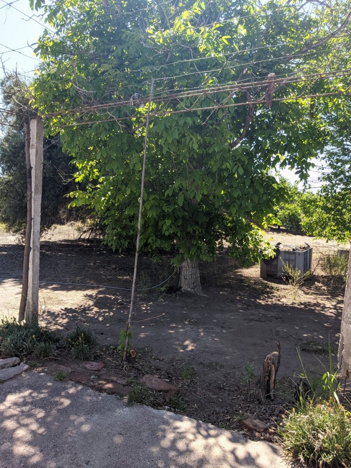 VENDO FINCA  EN  COLONIA LOPEZ - VILLA ATUEL - SAN RAFAEL- MENDOZA