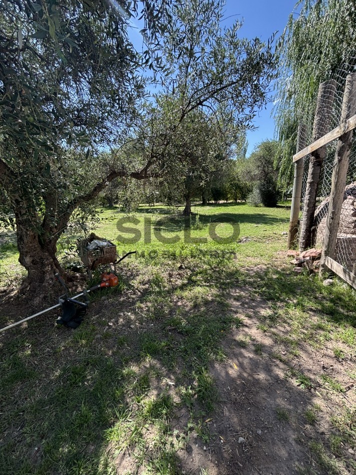 EXCELENTE PROPIEDAD EN RAMA CAIDA CON DOS CASAS 