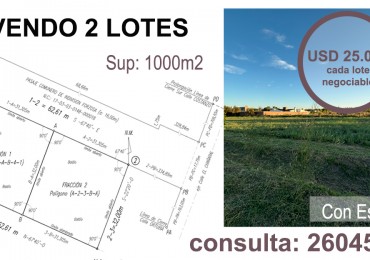 VENDO 2 LOTES DE 1.000 m² — LAS PAREDES, SAN RAFAEL, MENDOZA